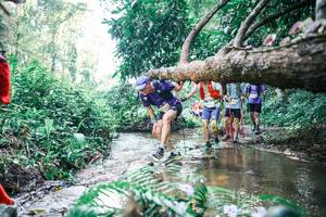 BIB: 
                            <button type="button" onclick="openModal(25451419)" class="btn btn-primary btn-sm float-right btn-popup" data-toggle="modal" data-target=".modal-high-quality">
                        <i class="fas fa-shopping-cart"></i> Add to Cart
                    </button>
                                            <button type="button" onclick="isThisMe(25451419, true)" class="btn btn-success btn-sm float-right btn-popup btn-isme hidden" data-toggle="tooltip" data-placement="bottom" title="นี่คือรูปของคุณใช่ไหม คลิกที่นี่เพื่อเอาเข้าอัลบั้ม">
                        <i class="fas fa-plus"></i> Add to album
                    </button>
                    <button type="button" onclick="isThisMe(25451419, false)" class="btn btn-warning btn-sm float-right btn-popup btn-isnotme hidden">
                        <i class="fas fa-ban"></i> Remove from album
                    </button>